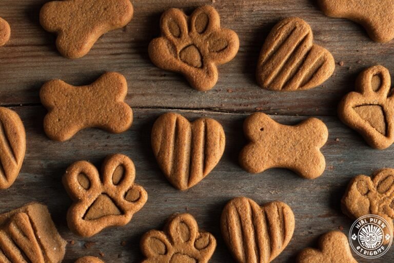 Easy Peanut Butter & Applesauce Dog Biscuits for Happy Pups! featured