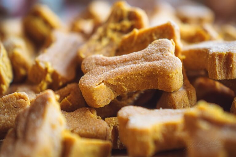 Banana Pumpkin Baked Dog Treats featured