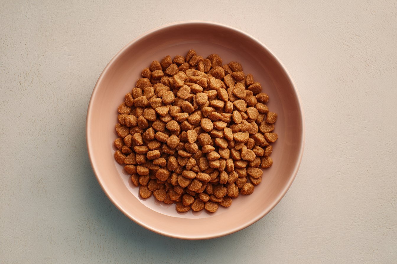 Greenies for Dogs recipe card